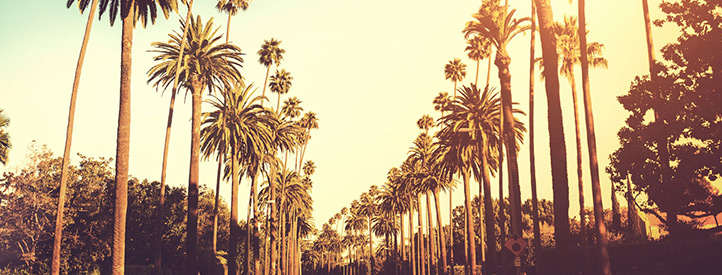 Angebot nach Los Angeles in der Business Class mit Lufthansa